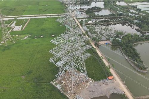 Thúc tiến độ các dự án truyền tải trên địa bàn tỉnh Ninh Bình