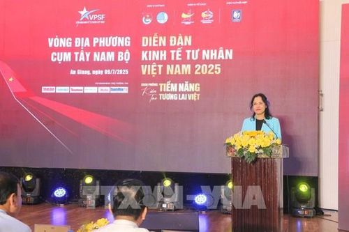 Diễn đàn kinh tế tư nhân 2025: Doanh nghiệp Tây Nam Bộ đón 'thời cơ vàng'