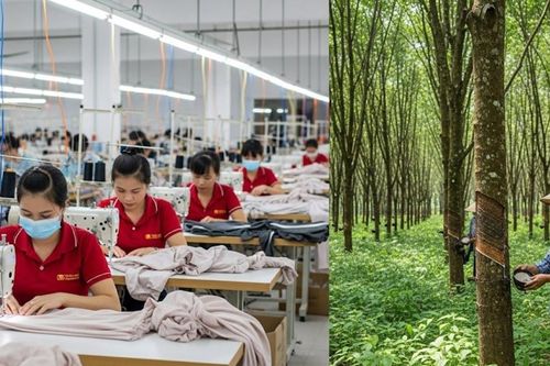 Một số doanh nghiệp dệt may, cao su bứt tốc nửa đầu 2025