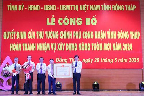 Nông thôn mới - Hành trình kiến tạo 'Làng thông minh', 'Làng hạnh phúc'