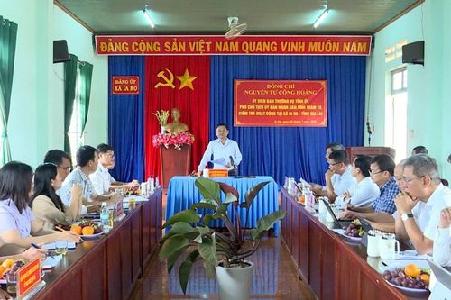 Phó Chủ tịch UBND tỉnh Gia Lai Nguyễn Tự Công Hoàng thăm, làm việc tại 2 xã Ia Ko và Chư Sê