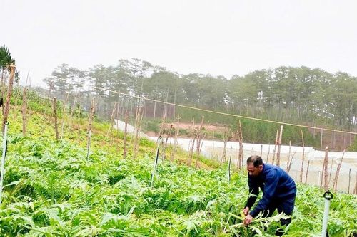Lạc Dương nỗ lực phát triển bền vững vùng đồng bào DTTS