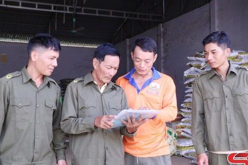 Mai Tiên không ma túy