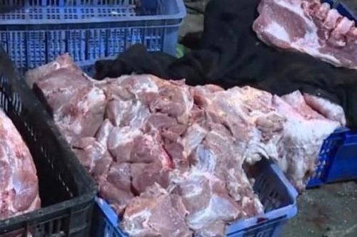 Công an Hà Nội triệt phá đường dây giết mổ, tiêu thụ thịt lợn bệnh