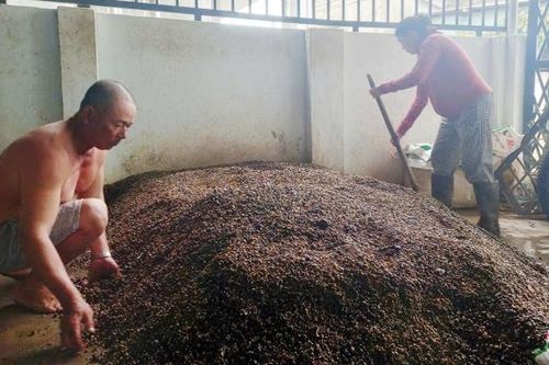 Sống đời bọt nước cùng con hến quê nghèo