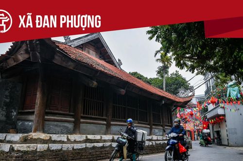 Xã Đan Phượng: Tất cả thông tin chỉ dẫn bạn cần biết