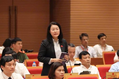 Làm gì để xóa chợ cóc, chợ tạm?