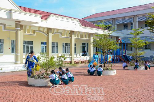 Nửa thế kỷ chuyện 'trồng người' ở Cà MauBài 1: Dựng trường, mở lớp, tìm giáo viên