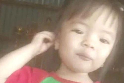 Bé 2 tuổi mất tích bí ẩn ở Lâm Đồng: Trích xuất camera vẫn chưa có dấu vết nào