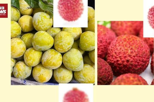 Vì sao trái cây Trung Quốc đắt đỏ vẫn hút người mua