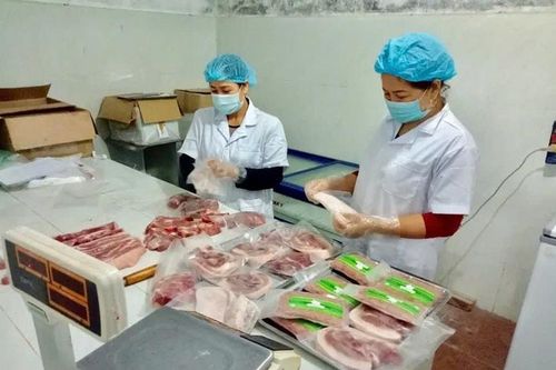 Sản xuất, tiêu thụ sản phẩm động vật theo chuỗi liên kết:Nâng hiệu quả kiểm soát chất lượng thực phẩm
