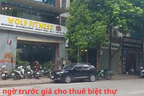 Bất ngờ trước giá cho thuê biệt thự tại phường Cầu Giấy, Hà Nội