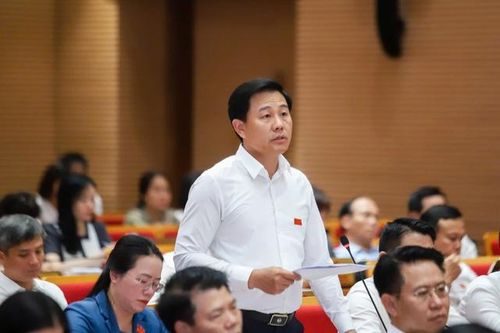 Lãnh đạo Hà Nội nói gì về việc 'rau hôm qua vừa phun thuốc, hôm nay đã mang ra chợ bán'?