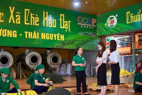 Động lực mới khơi nguồn tín dụng 'tam nông'