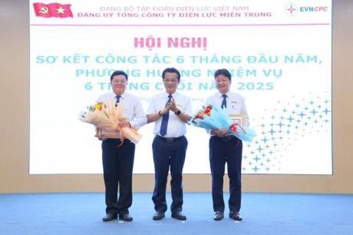 Tuyên dương các tập thể, cá nhân thuộc Đảng ủy Tổng Cty Điện lực miền Trung đạt thành tích xuất sắc