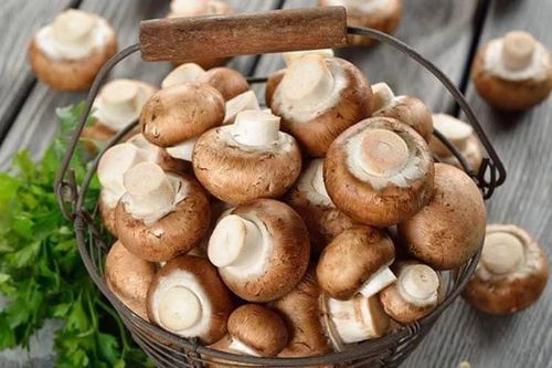 7 tác dụng của nấm hương