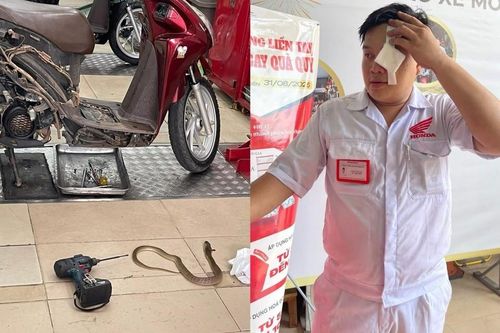 Sửa xe giữa trưa, kỹ thuật viên bất ngờ bị rắn phun độc