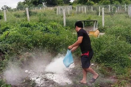 Vụ nhiều ca mắc liên cầu lợn tại TP Huế: Phát hiện lợn có chấm đỏ tại lò mổ