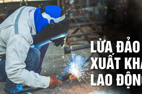 Mở Trung tâm Nhật Ngữ để lừa đảo người lao động, chiếm đoạt tiền tỷ