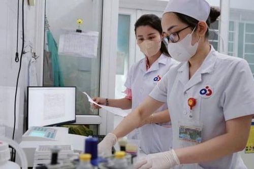 Gần 900 trẻ em Nghệ An nhiễm giun sán từ chó mèo: Báo động về thói quen nuôi thú cưng thiếu an toàn
