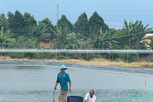 Ngân hàng Nhà nước: Gói vay nông, lâm, thủy sản đạt 94% mục tiêu