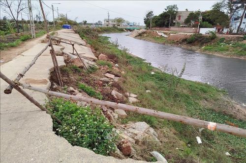 Bắc Ninh: Phản ứng nhanh, xử lý sự cố sạt lở đê điều