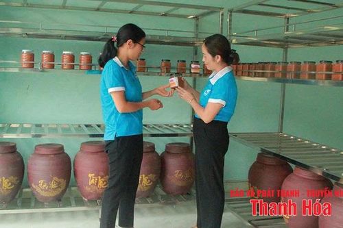 Mô hình sinh kế hỗ trợ phụ nữ thoát nghèo