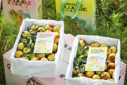 Trái cây Trung Quốc được bày bán tràn ngập chợ Việt