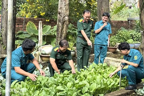 Dân quân tự vệ tích cực góp sức phát triển kinh tế - xã hội