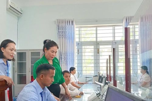 Phó Chủ tịch HĐND tỉnh Gia Lai Huỳnh Thúy Vân làm việc tại xã An Vinh