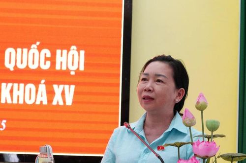 Cử tri kiến nghị xử lý nghiêm các đối tượng sản xuất, tiêu thụ hàng giả, hàng kém chất lượng