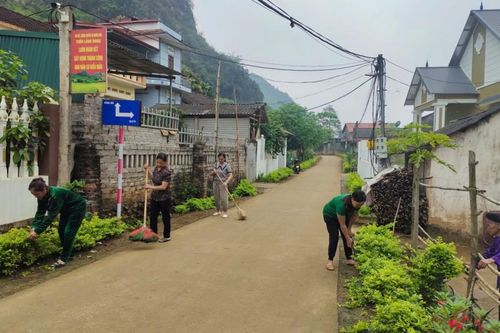 Bóng hồng trên tuyến đường tự quản