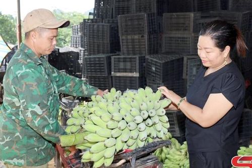 HTX kết nối tiêu thụ nông sản địa phương
