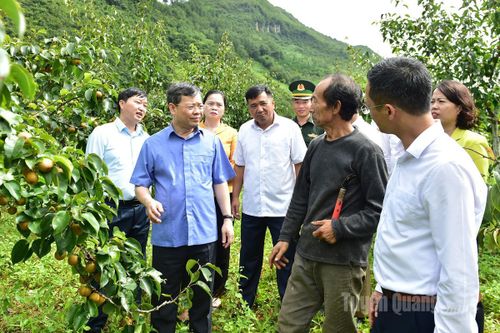 Đồng chí Chủ tịch HĐND tỉnh Nguyễn Văn Sơn thăm, làm việc tại xã Phố Bảng
