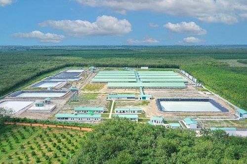 Lập thêm công ty con tại Ninh Bình, BAF Việt Nam (BAF) tăng tốc mở rộng chuỗi 3F