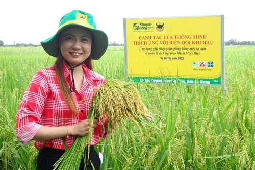Thực trạng Can-xi (Ca) đất lúa vùng đồng bằng sông Cửu Long từ kết quả chương trình 'Canh Tác Lúa Thông Minh'