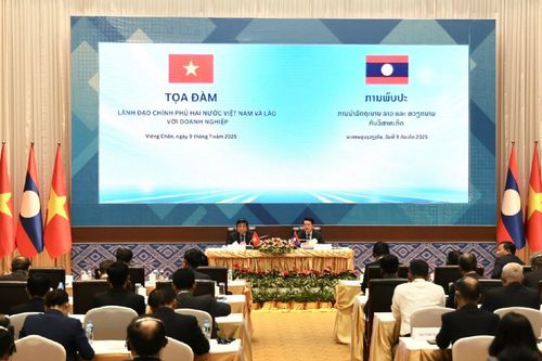 Cao su Việt Nam (GVR) xúc tiến mở rộng mảng cao su, đầu tư chế biến gỗ tại Lào
