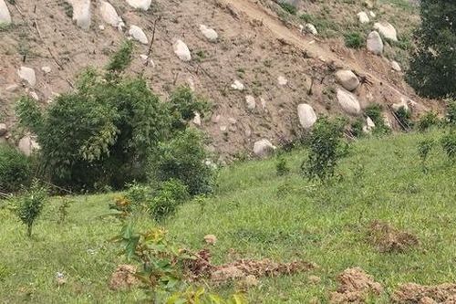 Đắk Lắk: Đá lăn khiến hai cháu bé ngồi dưới chân đồi thương vong