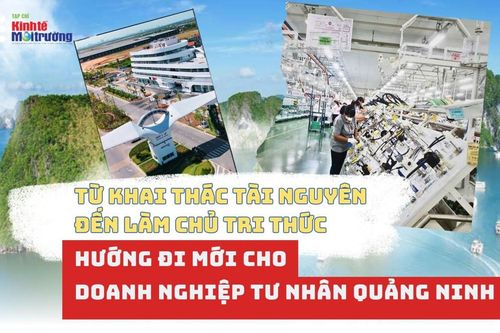 Từ khai thác tài nguyên đến làm chủ tri thức: Hướng đi mới cho doanh nghiệp tư nhân Quảng Ninh