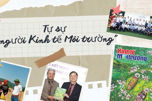 Tự sự 'Người Kinh tế Môi trường'