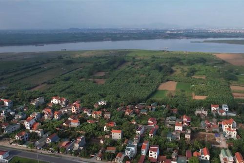 Khai thác hiệu quả quỹ đất nông nghiệp ở bãi sông