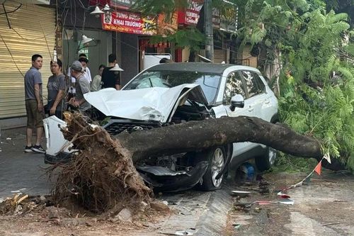 Giám đốc CATP chỉ đạo làm rõ vụ TNGT trên phố Trần Đại Nghĩa