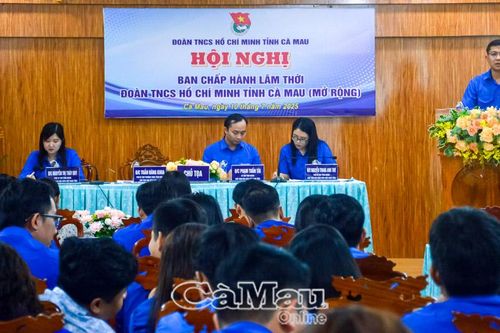 Tỉnh đoàn Cà Mau đặt ra 12 chỉ tiêu phấn đấu trong 6 tháng cuối năm