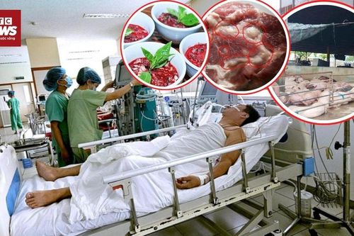 Huế: Phát hiện heo nghi bị bệnh tại lò mổ