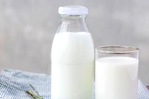 Doanh nghiệp xuất khẩu sữa sang Trung Quốc phải điều chỉnh quy trình sản xuất
