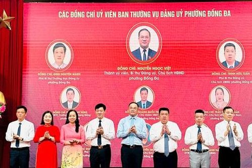 Đống Đa triển khai kế hoạch tổ chức Đại hội Đảng bộ phường