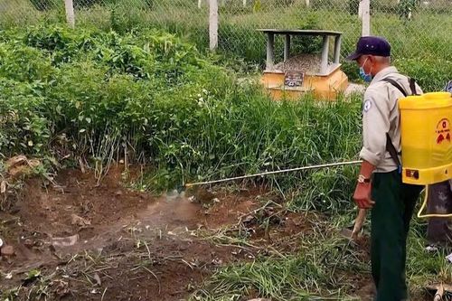 Phát hiện lợn có chấm đỏ, biểu hiện bệnh tích tại lò mổ ở Huế