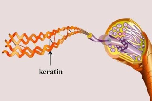 Cách bổ sung keratin từ thực phẩm để có mái tóc khỏe đẹp, bóng mượt