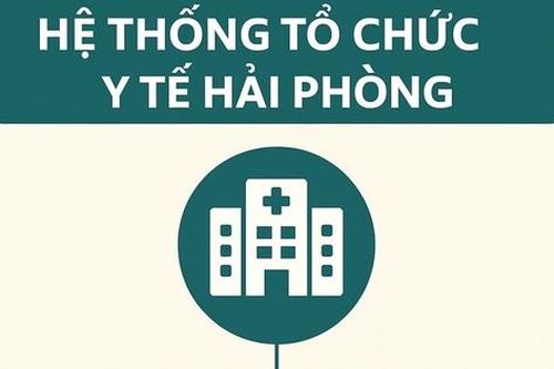 Toàn cảnh hệ thống y tế công lập ở Hải Phòng sau hợp nhất