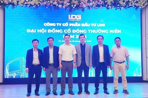 Cổ phiếu tăng trần 11 phiên liên tiếp sau khi nguyên Chủ tịch ra tù, LDG giải trình ra sao?